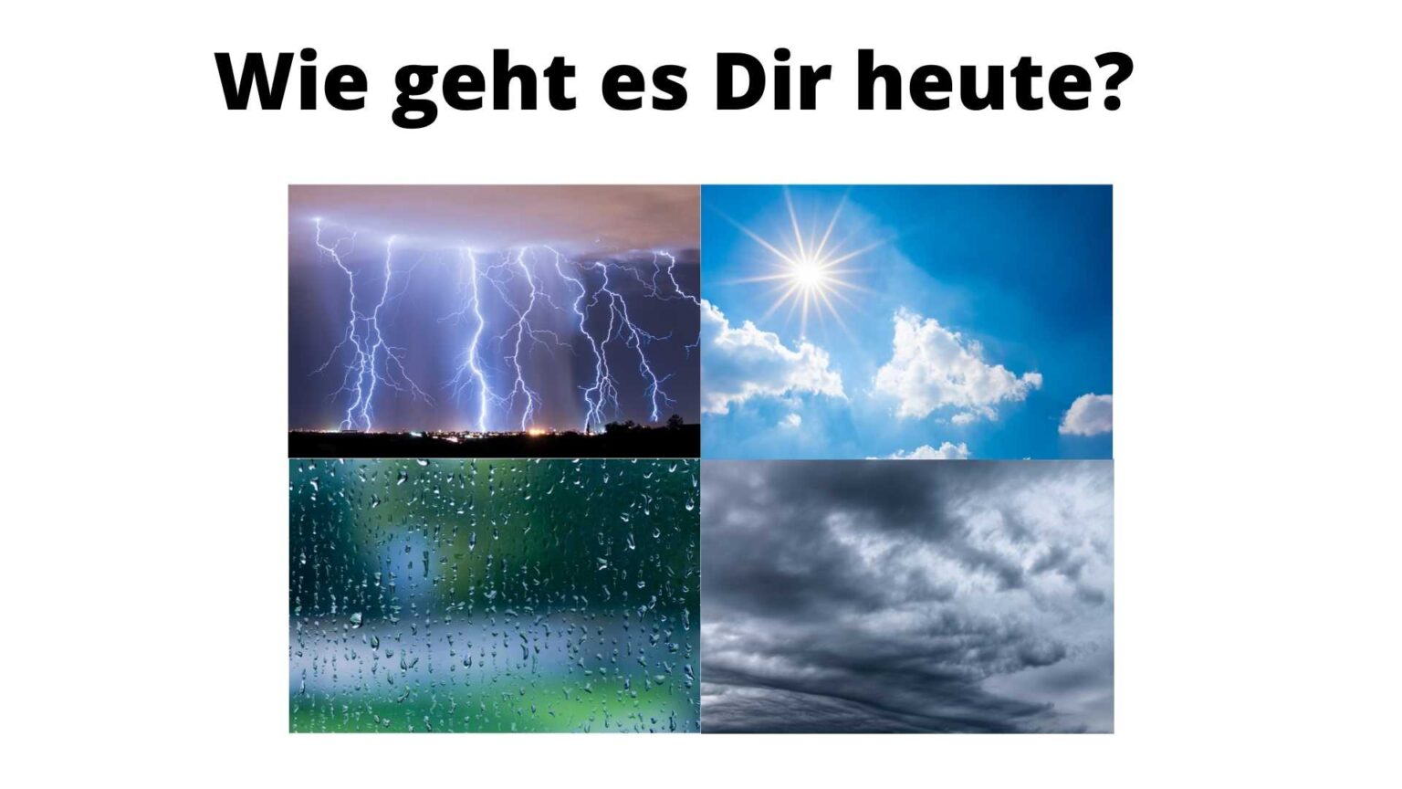 Die Geheimnisse eines perfekten Sauerteigbrotes